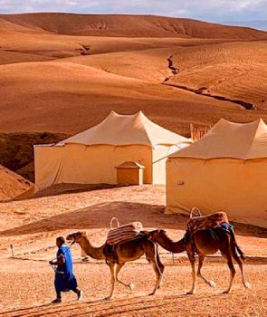 Sunset Camel Ride in Agafay Desert for 1 Hour